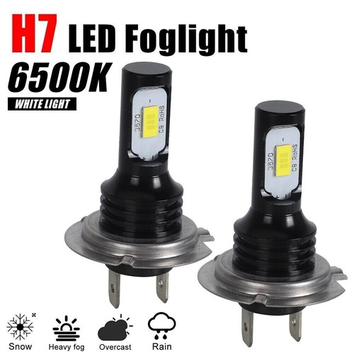Birne low beam - h7,